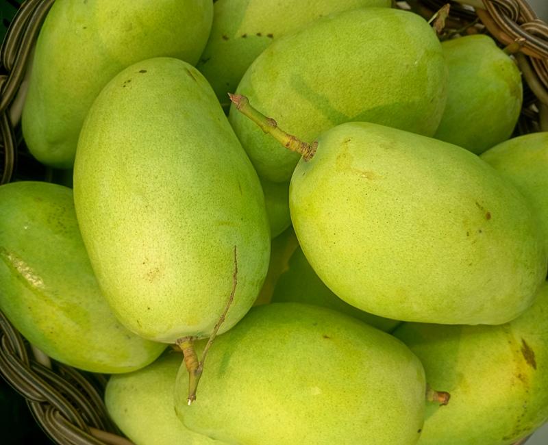 Carrie Mangoes/Alphonso Mangoes from Florida - Image 3