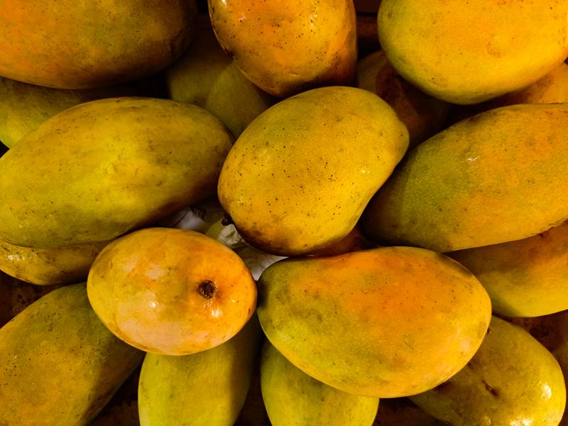 Preorder Himmayat / Immam Pasand Mangoes for 2026 Season - Image 3
