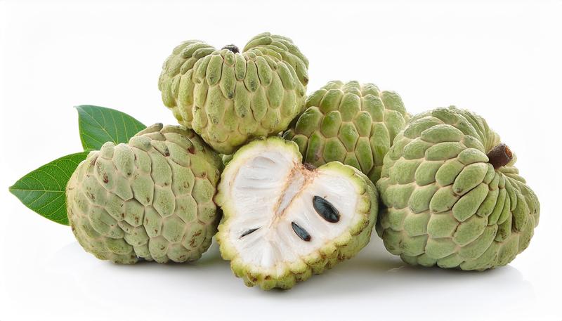 Sitaphal/Custard Apple/Sugar Apple for 2026 Season - Image 2