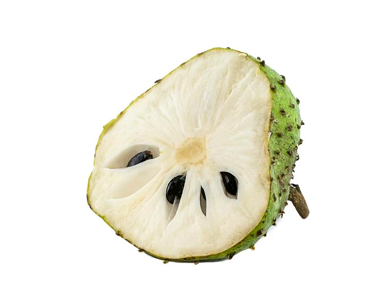 Soursop - Image 2